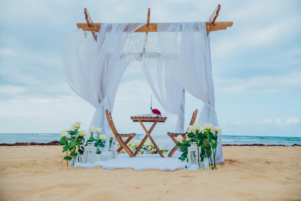 Elegant Boho Proposal