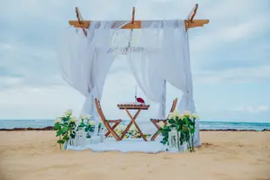 Elegant Boho Proposal