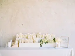 PUNTA CANA WEDDING PLANNERS