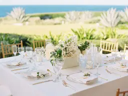 PUNTA CANA WEDDING PLANNERS