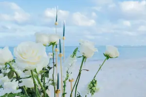 Exclusive Marriage Proposal Package by the Sea