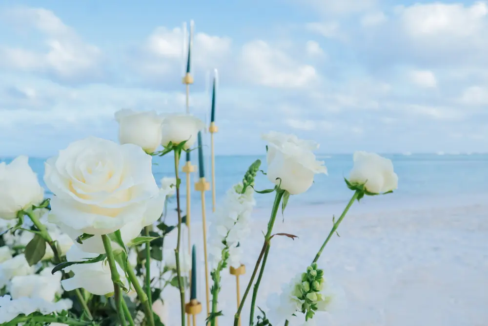 Paquete Exclusivo de Propuesta de Matrimonio junto al Mar