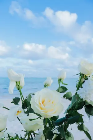 Golden Hour Beach Proposal in Punta Cana