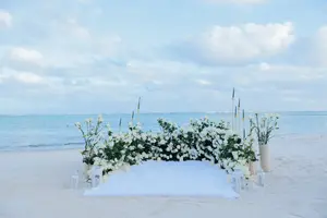 Beach Proposal with Violin Serenade in Punta Cana