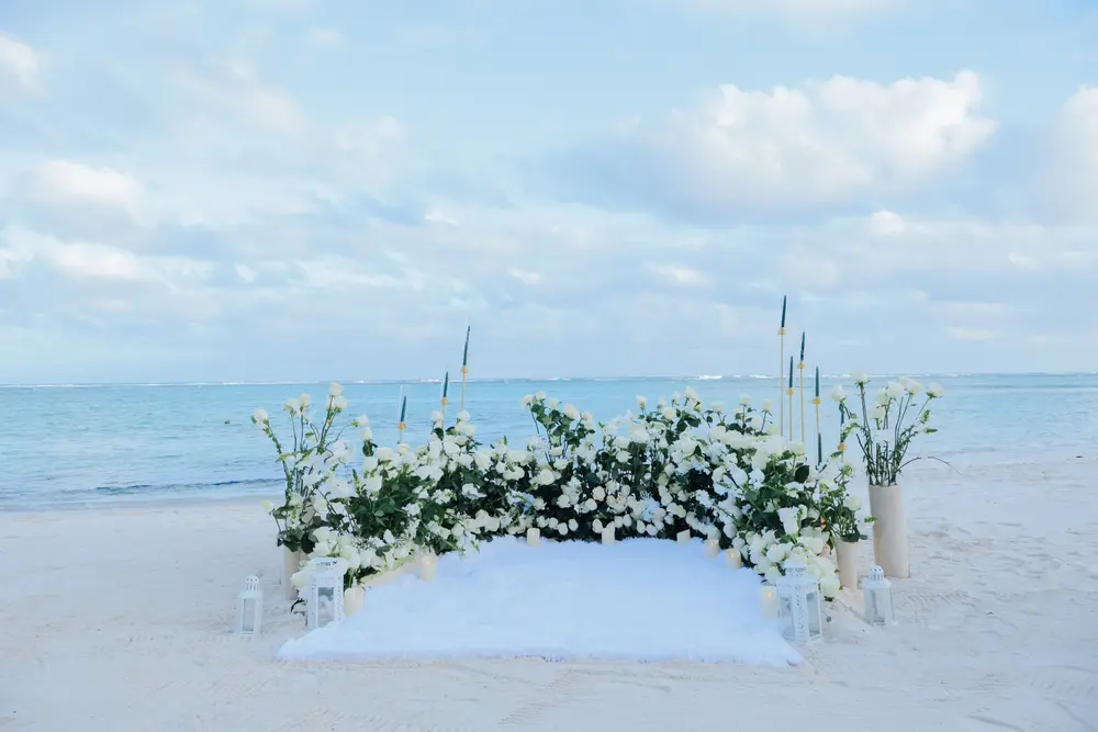 Propuesta con Serenata de Violín en la Playa de Punta Cana
