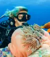 Scuba Diving Punta Cana with Grand Bay of the Sea