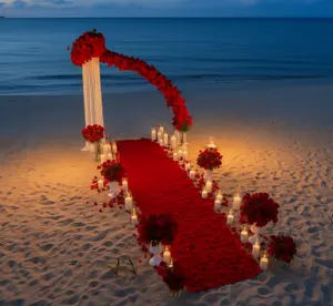 Luminous Love