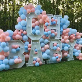 Gender Reveal