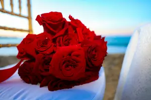 Proposal