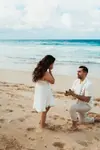 Organizador de Propuestas en Punta Cana