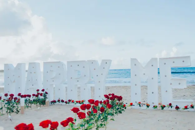 Proposal